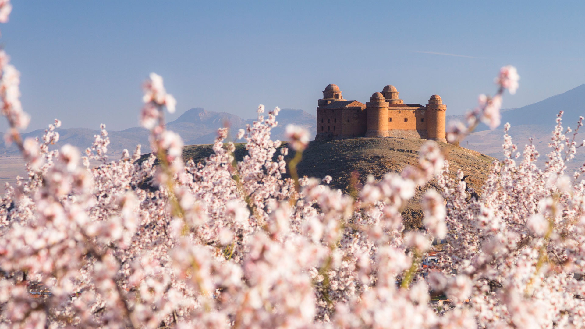 年终总结新利器：使用微梦助手撰写年终总结事半功倍